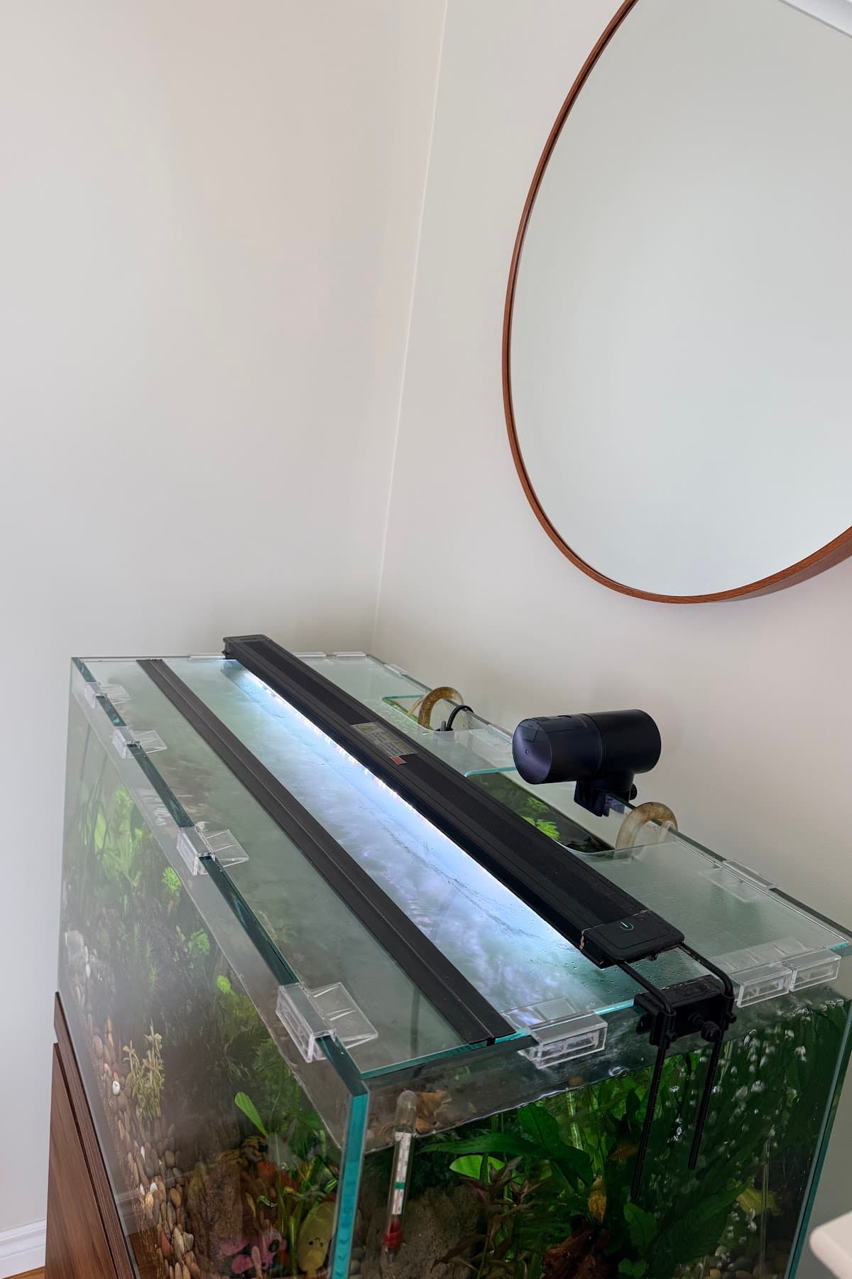 A custom glass lid fitted to Gord Braun’s planted home aquarium
