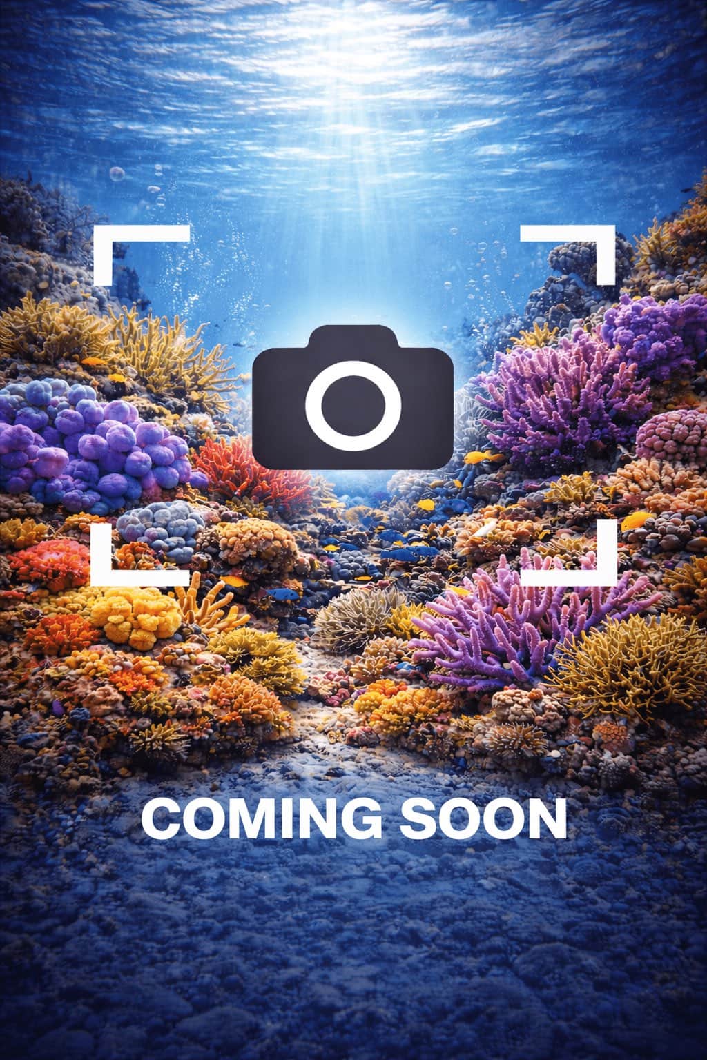 Zip Bag Md