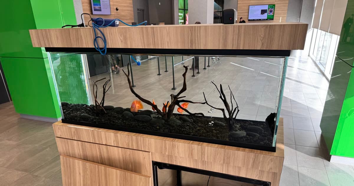 A commercial aquarium on wood cabinetry with service access below the display