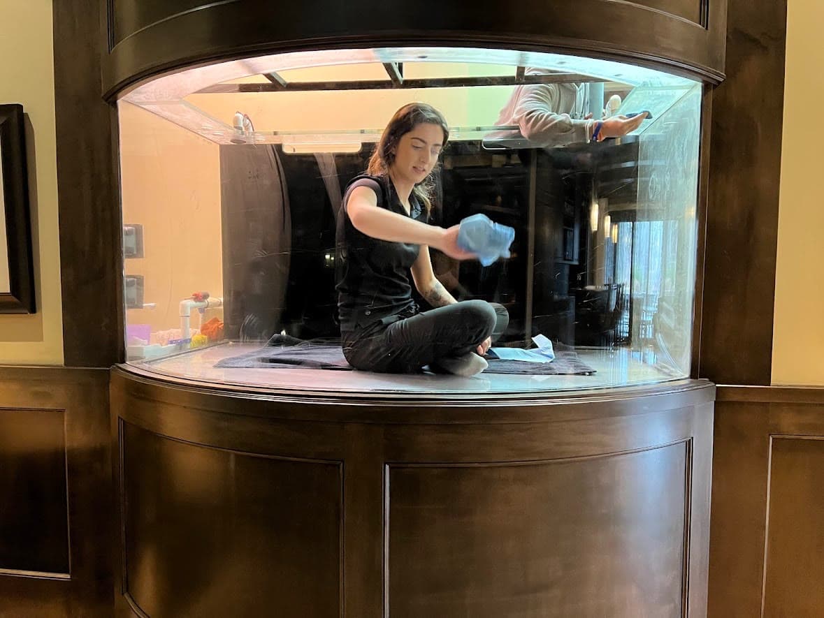 A person working inside a large curved aquarium through its service opening