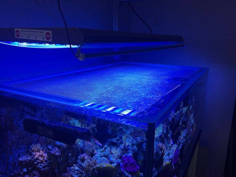 Fitted clear mesh lid installed over a stocked reef aquarium