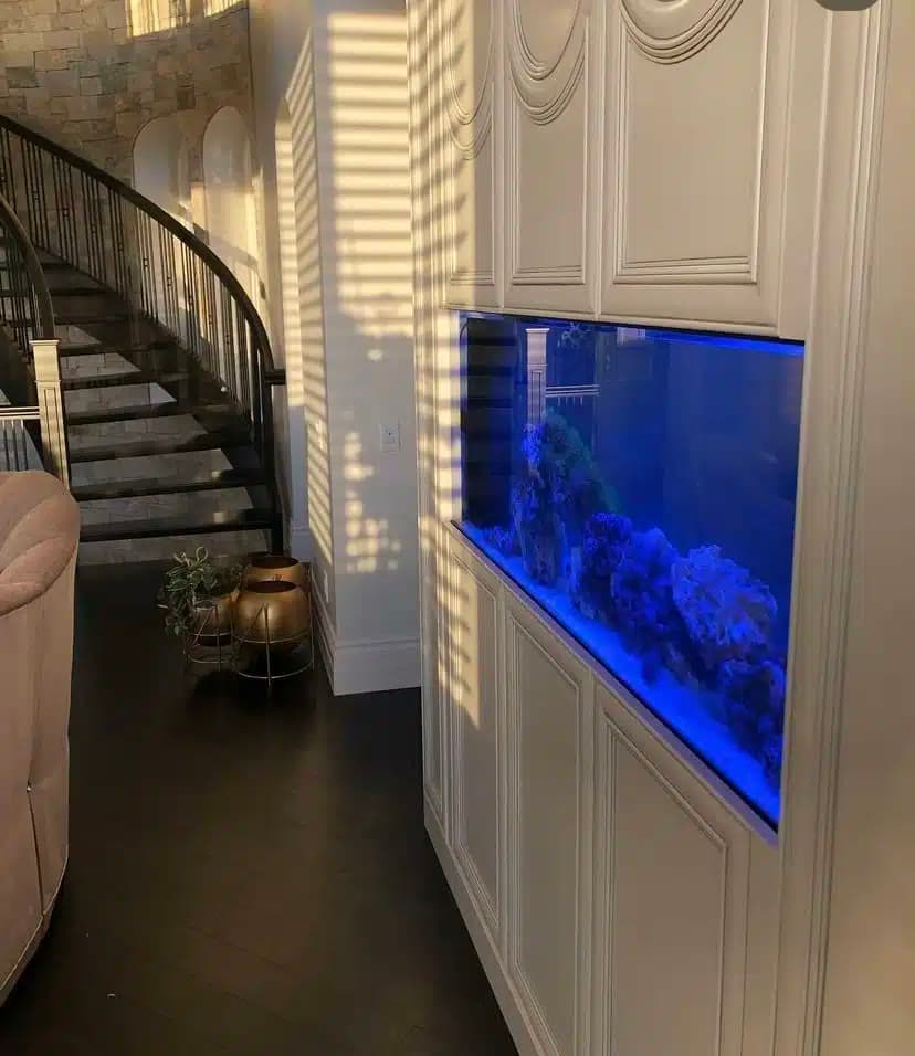 Finished reef aquarium integrated into white residential millwork