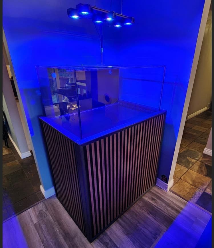 Empty peninsula aquarium and stand positioned in a home before commissioning