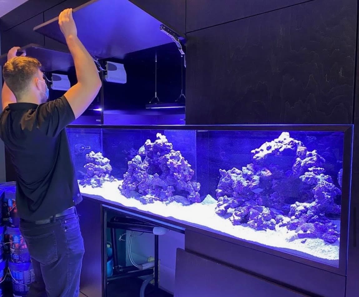 A person lifting the canopy on a large reef aquarium to reach the lighting and service area