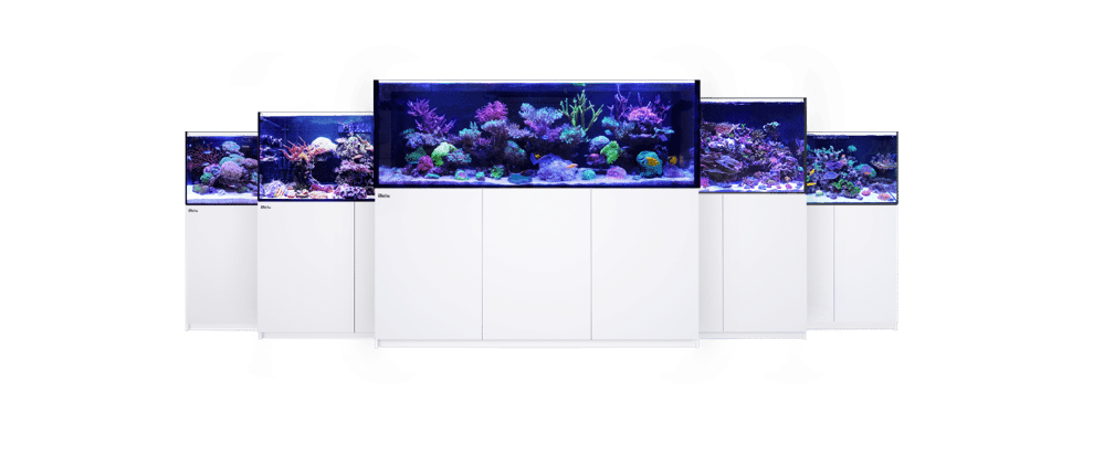 Aquariums, custom tanks & sumps