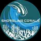 Shoreline Corals