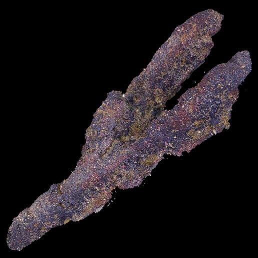 Caribsea LifeRock Belize Branch - per 1lb