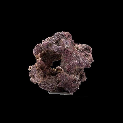 Caribsea LifeRock Donuts - Each