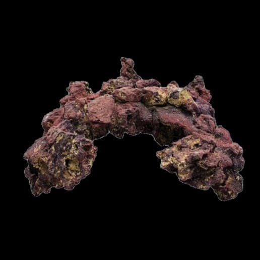 Caribsea LifeRock 12 Inch Arches - Each