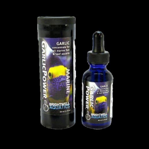 Brightwell Aquatics Garlic Power