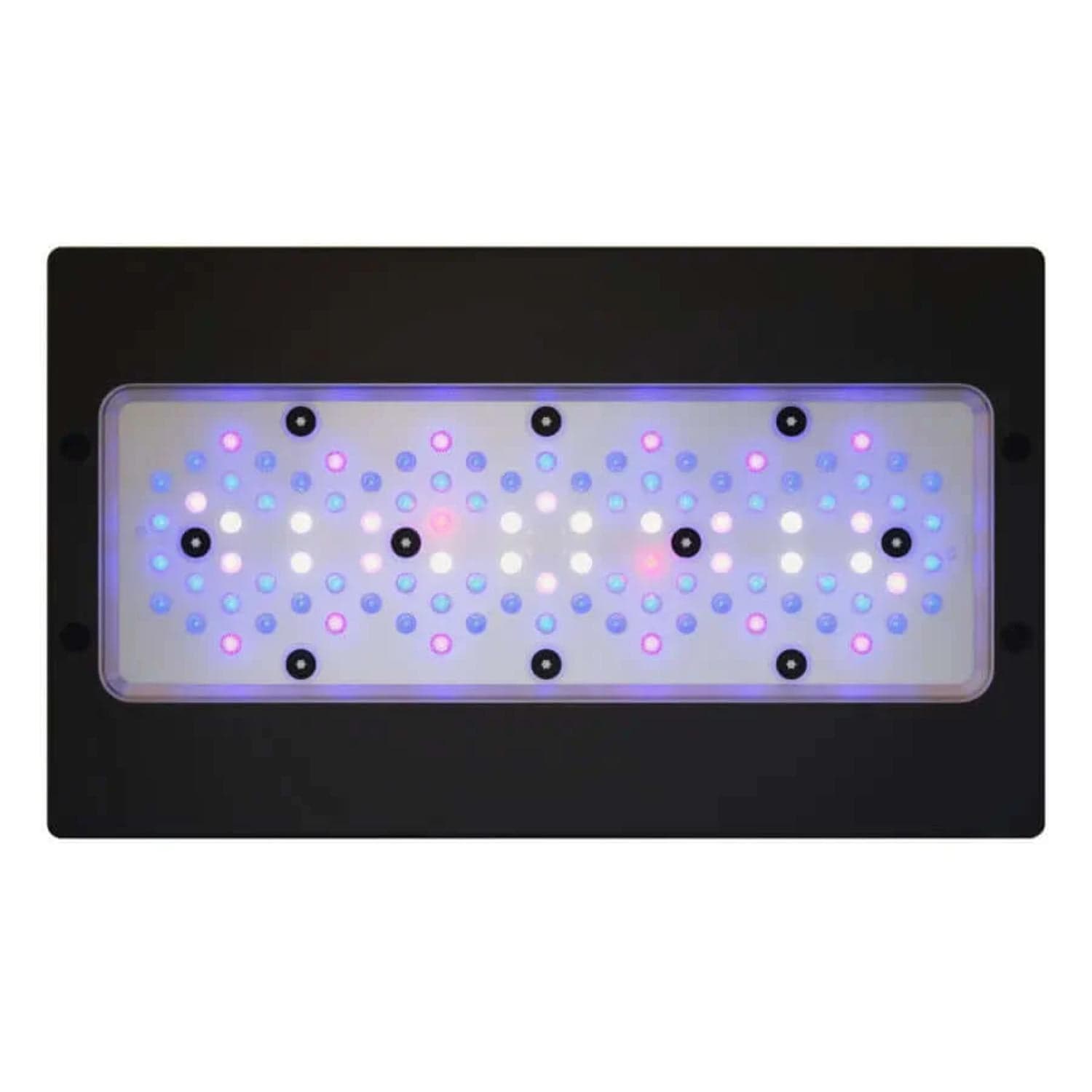 Radion XR30 G6 Blue LED Light Fixture
