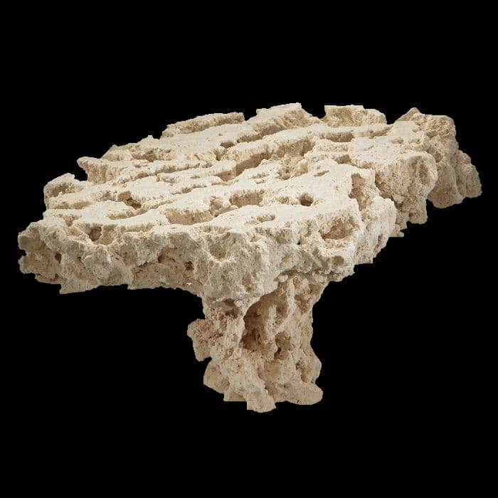 Dry Shelf Rock ( Per Lb.)