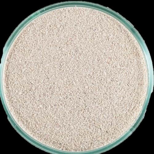 CaribSea Ocean Direct Oolite