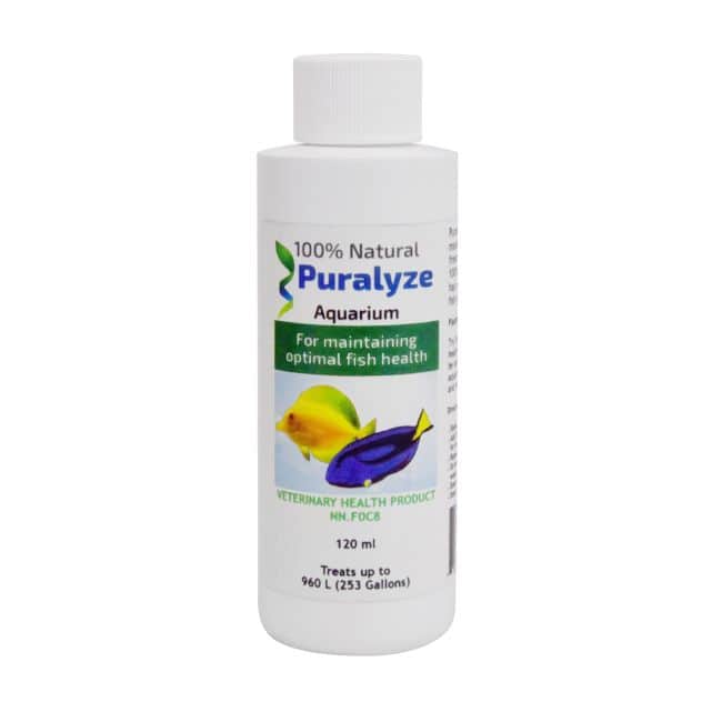 Puralyze