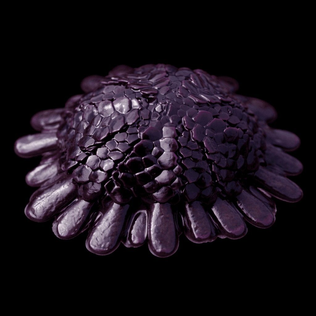 Shingle Urchin