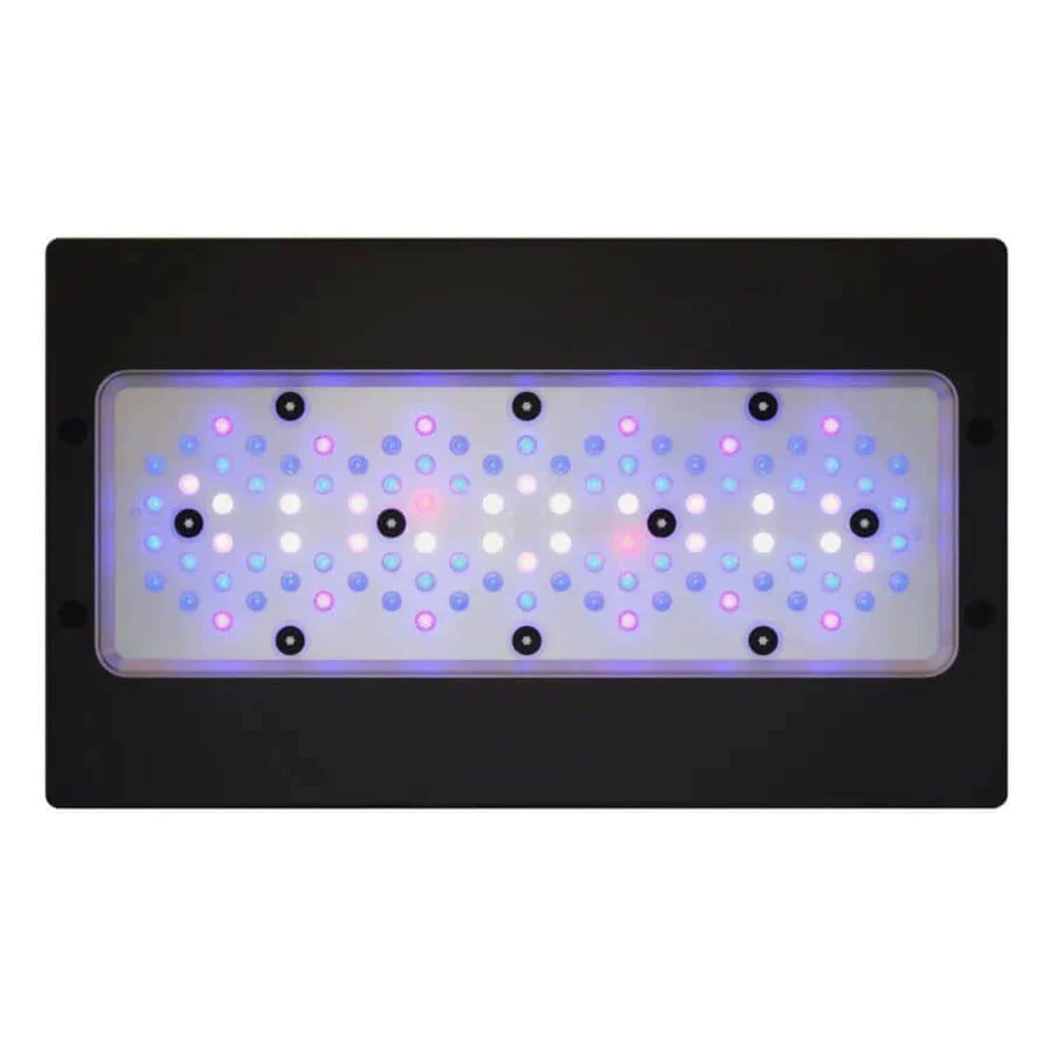 Radion XR30 G6 Blue LED Light Fixture
