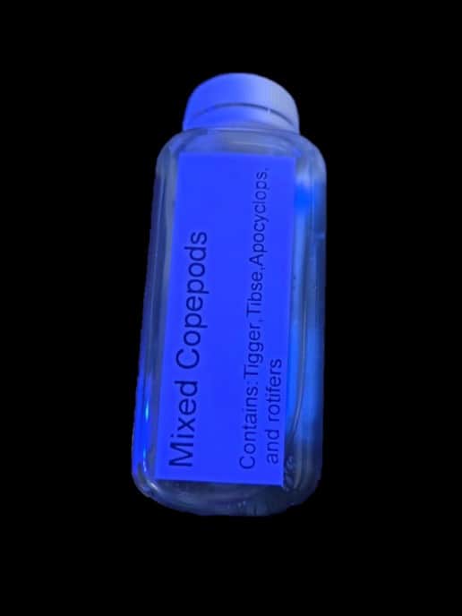 Copepods Mixed